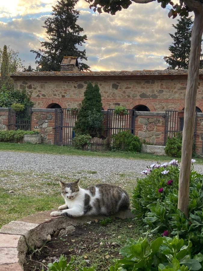 Agriturismo Il Pozzo Castiglione dʼOrcia Dış mekan fotoğraf