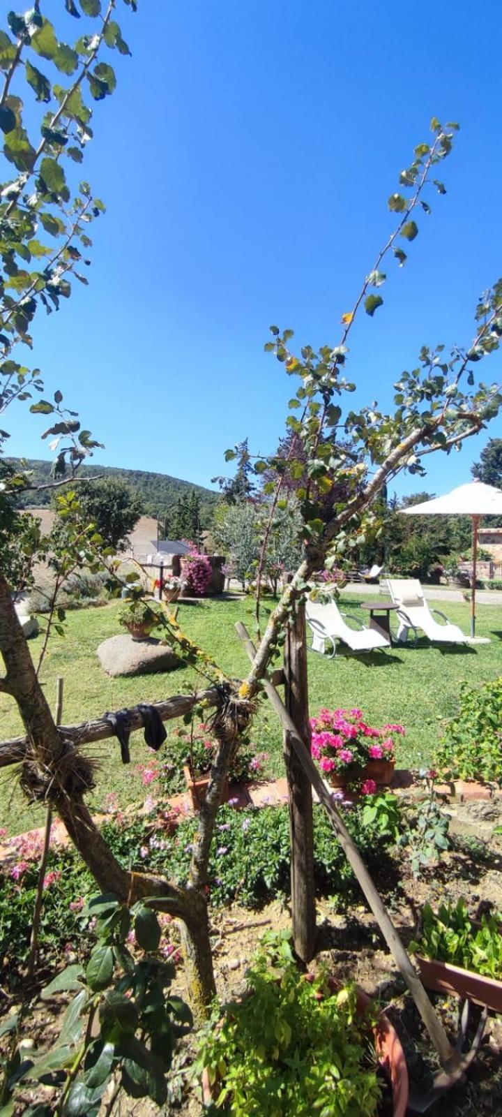 Agriturismo Il Pozzo Castiglione dʼOrcia Dış mekan fotoğraf