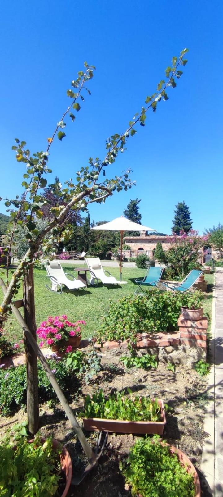 Agriturismo Il Pozzo Castiglione dʼOrcia Dış mekan fotoğraf